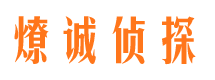 浪卡子侦探